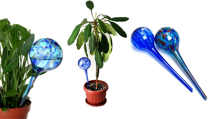 60% off Set of 2 Aqua Globes ($6 instead of $15) - goSawa